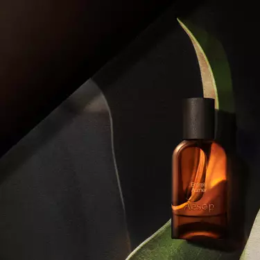 Flacon Aesop ambre solitaire, baigne d’une lueur chaleureuse, encadre de formes courbes evoquant des feuilles, dans des tons vert fonce, creme et noir.