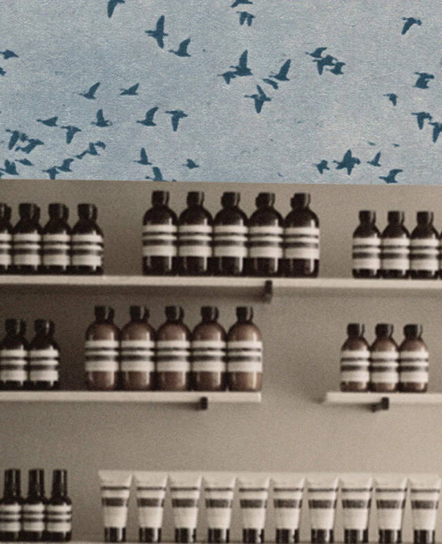Packaging ethos