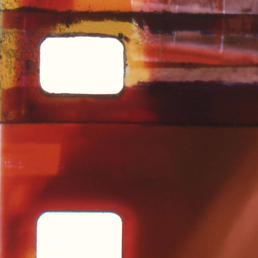 Skin Type Image