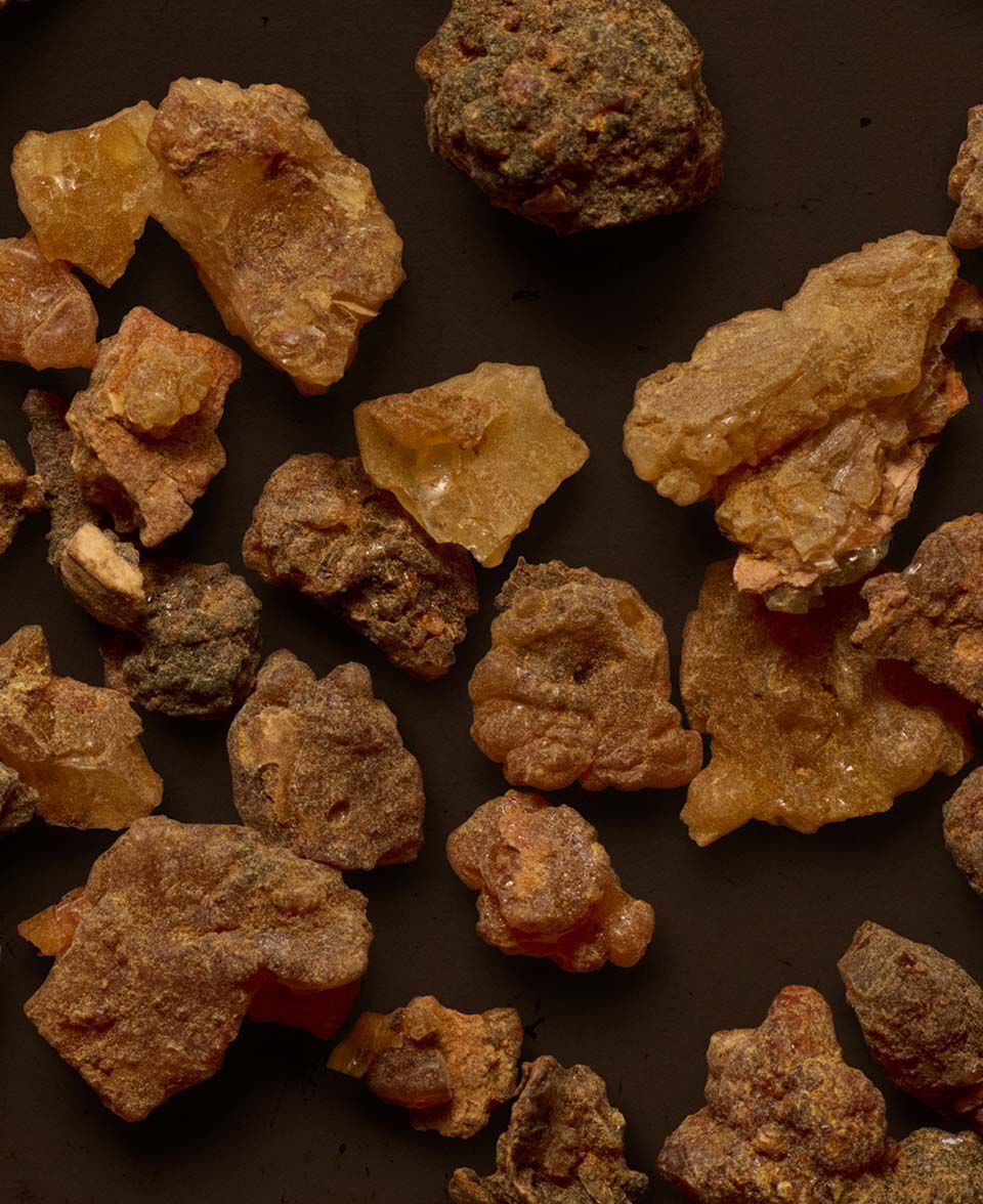 Gros plan de morceaux de resine ambree epars sur une surface brun fonce.