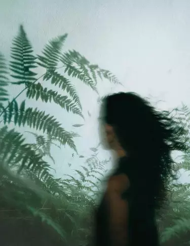 Profil flou d’une personne aux cheveux fonces parmi des fougeres vertes, devant une vitre embuee baignee d’une lumiere naturelle fraiche et diffuse.